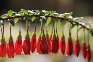 中山大涌私人快速借钱网，轻松解决资金难题